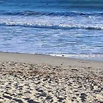 2 Personnes Proche Des Plages Et Commerces * La Seyne-sur-Mer