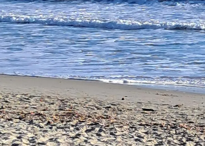 2 Personnes Proche Des Plages Et Commerces * La Seyne-sur-Mer